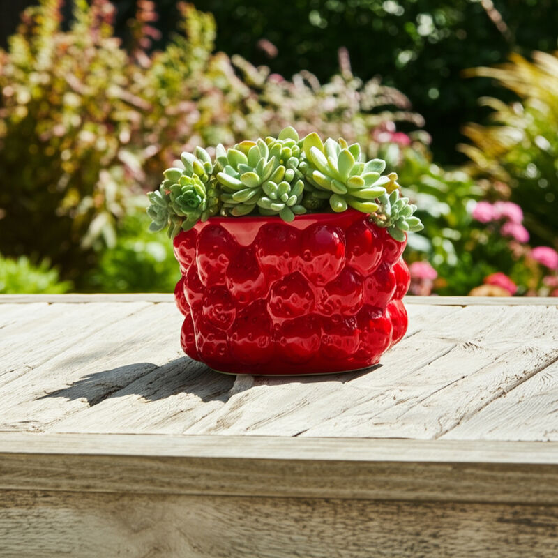 Strawberries Flower Pot