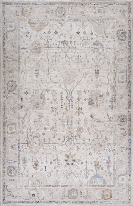 HomeRoots Abstract Distressed Area Rug