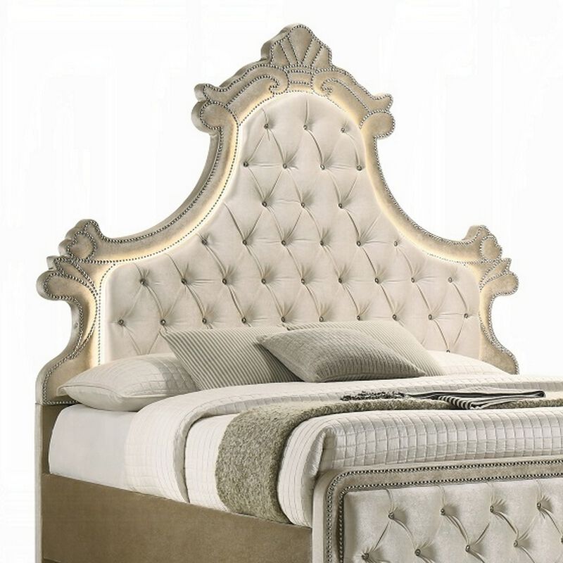 Willa Queen Size Bed, LED Lights, Beige Velvet Upholstery, Brown Wood image number 3