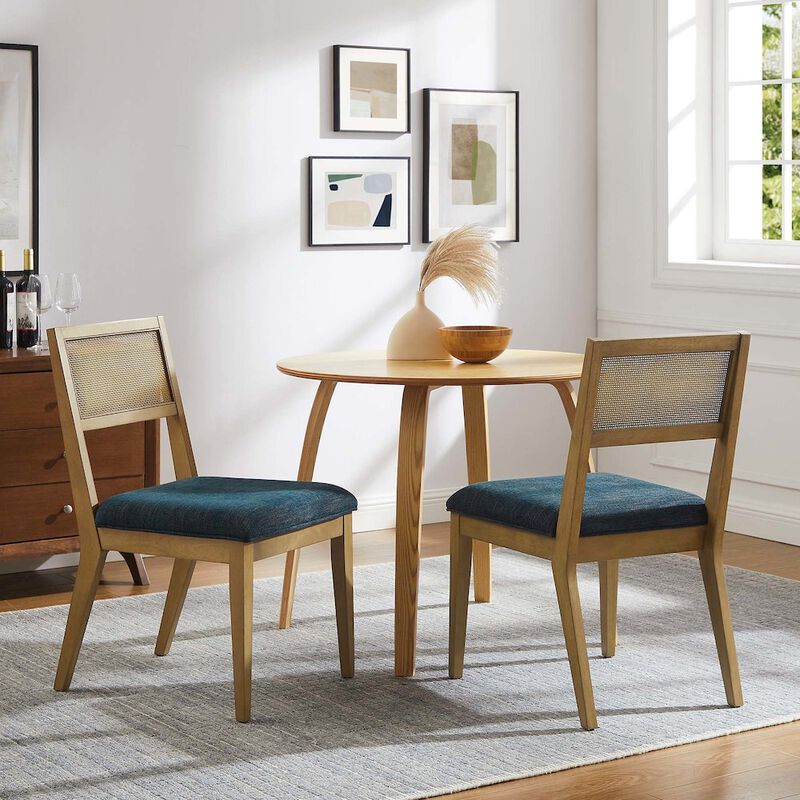 Nimba Faux Rattan Fabric Dining Chairs Set of 2 image number 8