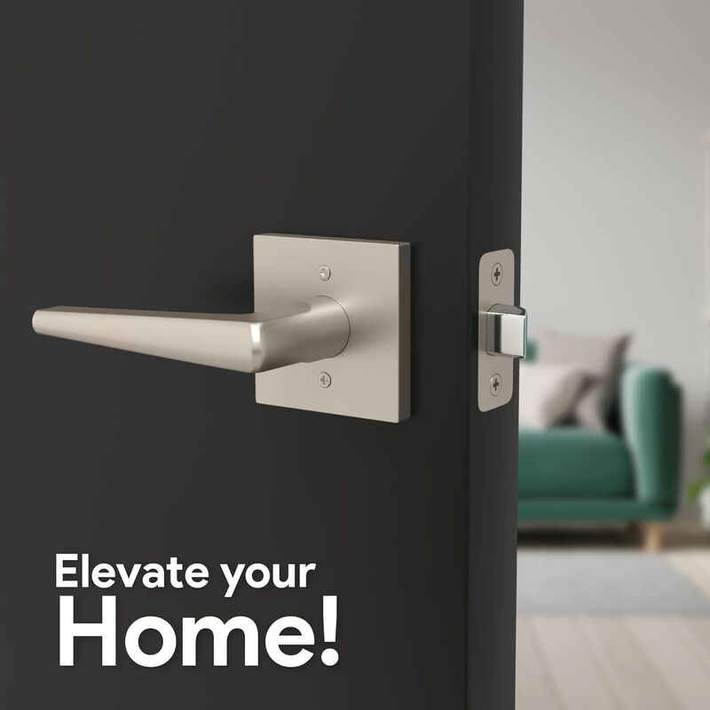 Mega Handles | Schein Passage Lever