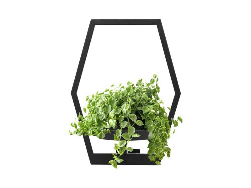 Set of 3 Black Metal Plant Sconces Wall Decor for Living Room Bathroom image number 0