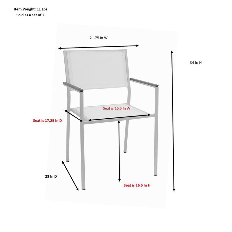 Carolina Living Braylee Patio Chair - Set of 2 - Black