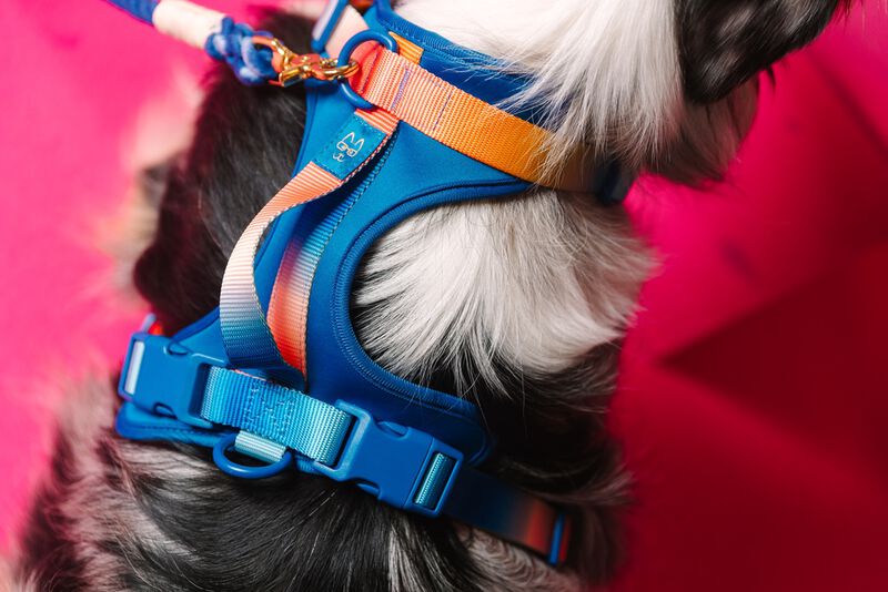 Atlas Dog Harness image number 4