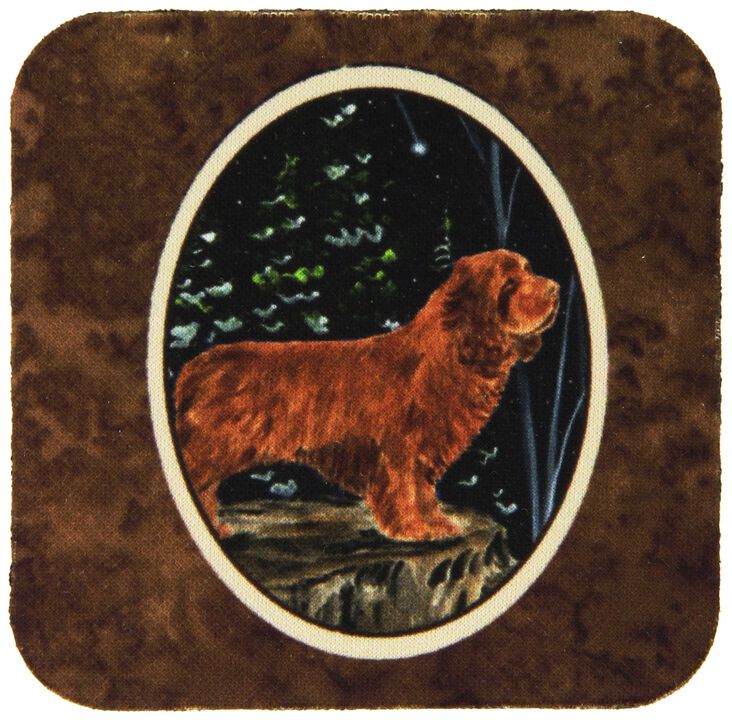 Caroline's Treasures SS8174FC Sussex Spaniel Foam Coasters (Set of 4), 3.5 H x 3.5 W, Multicolor