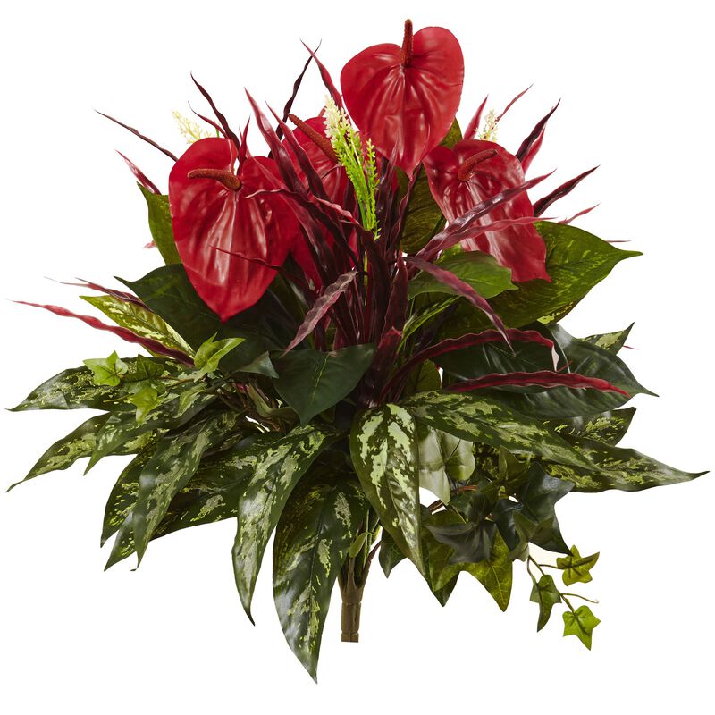 Hivvago Mixed Anthurium Bush (Set of 2)