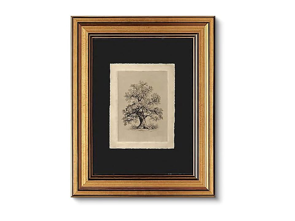 Vintage Gold Framed Wall Art Botanical Sketch Rustic Farmhouse Decor Aesthetic