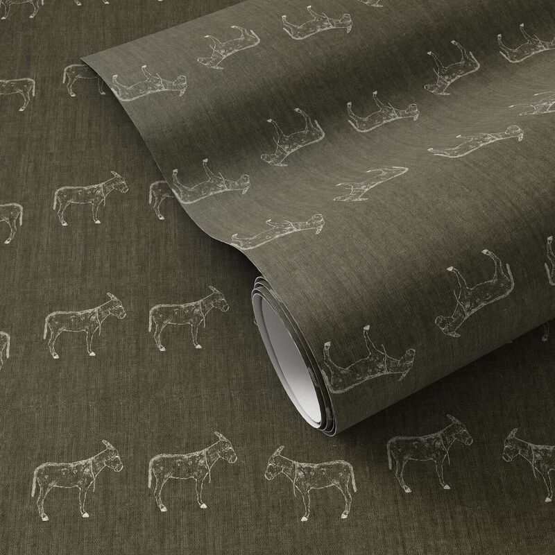 Burros Wallpaper By Paul Meyer image number 0