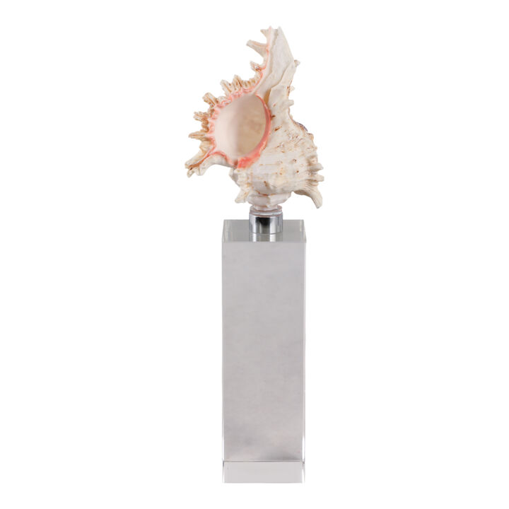 Shell on Crystal Base