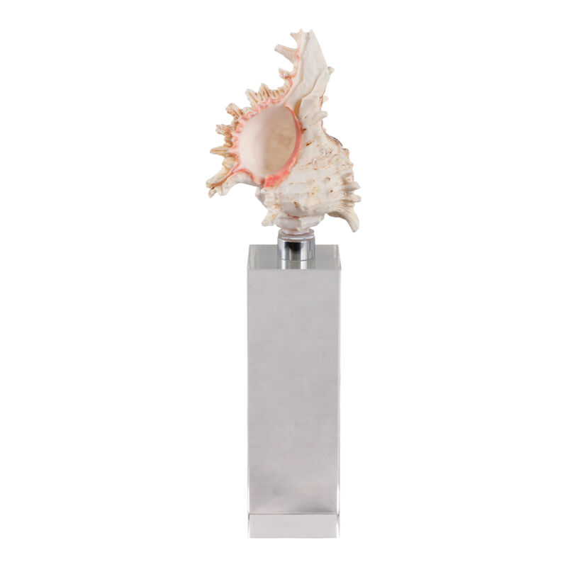 Shell on Crystal Base image number 0
