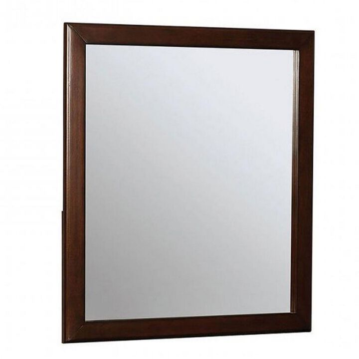 32 Inch Transitional Style Wooden Frame Mirror, Cherry-Benzara