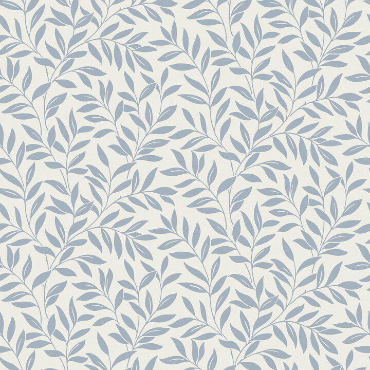 Marin Blue Leaf Trail Wallpaper