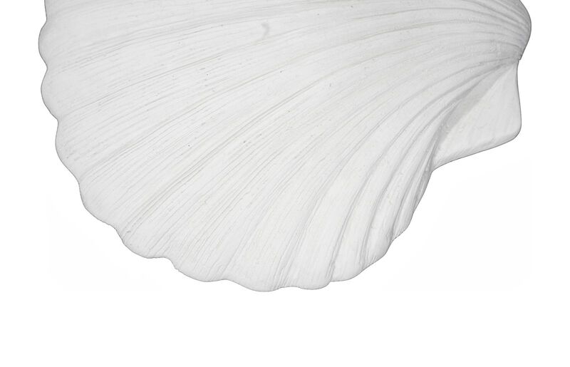 Sea Shell Wall Art image number 3