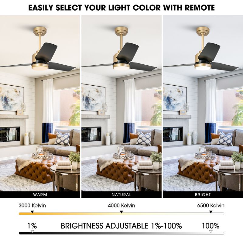 42" Modern Gold ABS 3-Blade Ceiling Fan with Light and Remote