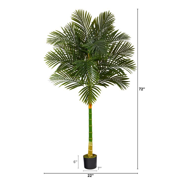 HomPlanti 6 Feet Single Stalk Golden Cane Artificial Palm Tree