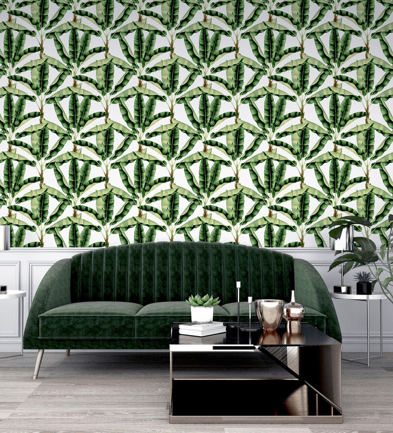 Musa Green Palm Tree Wallpaper image number 1