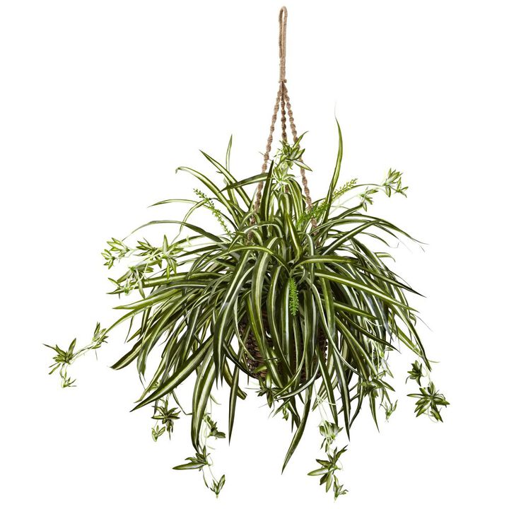 HomPlanti Spider Plant Hanging Basket