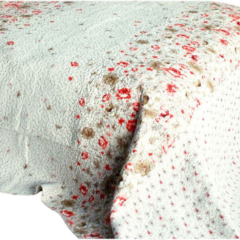 Vermicelli Quilted Cotton Printed Quilt Set Queen Size Splendid Beauty Design Set image number 2
