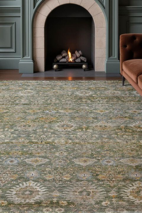 Aristo AR9 Basil 1'8" x 2'6" Rug