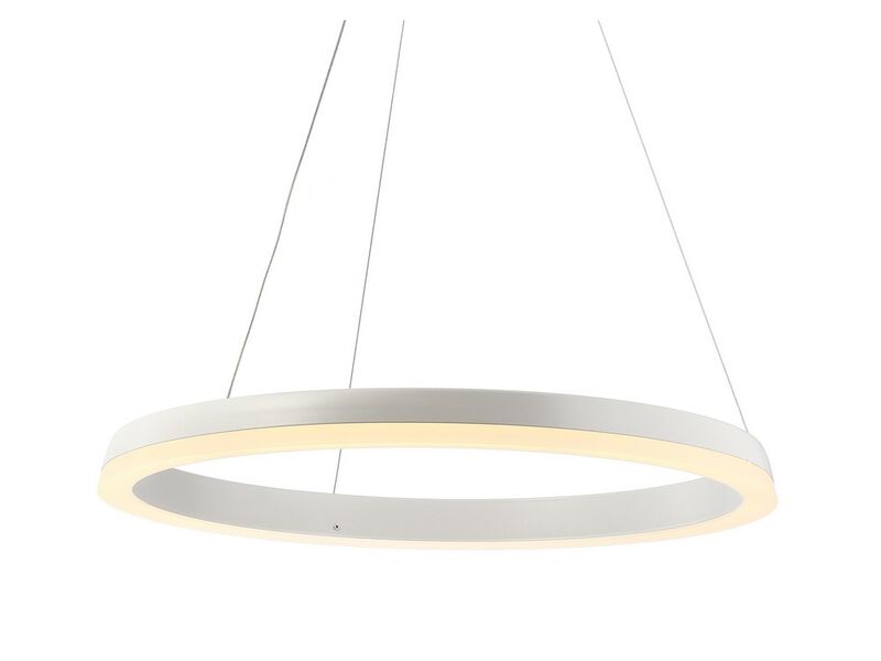 Baxter 23.5" 1-Light Modern Contemporary Aluminum Integrated LED Hoop Pendant