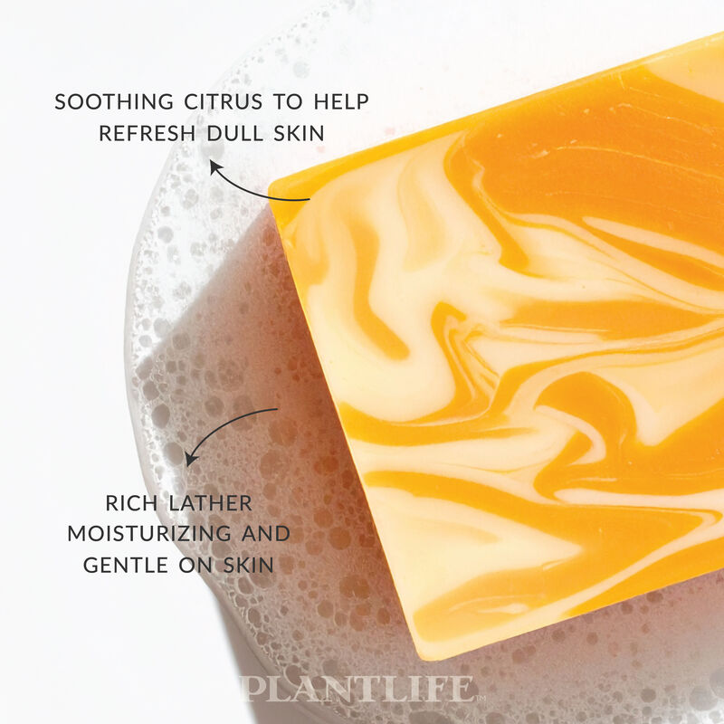 Plantlife Bar Soap - Vanilla Orange 3 Pack image number 3