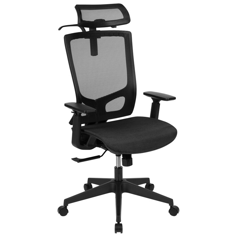 Layla Ergonomic Mesh Office Chair with Synchro-Tilt, Pivot Adjustable Headrest, Lumbar Support, Coat Hanger and Adjustable Arms in Black image number 0