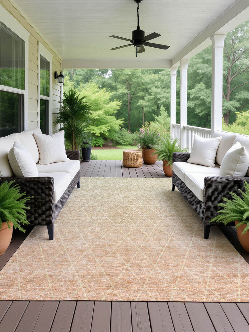 Lazio LZ2 Salmon 2'3" x 7'6" Rug