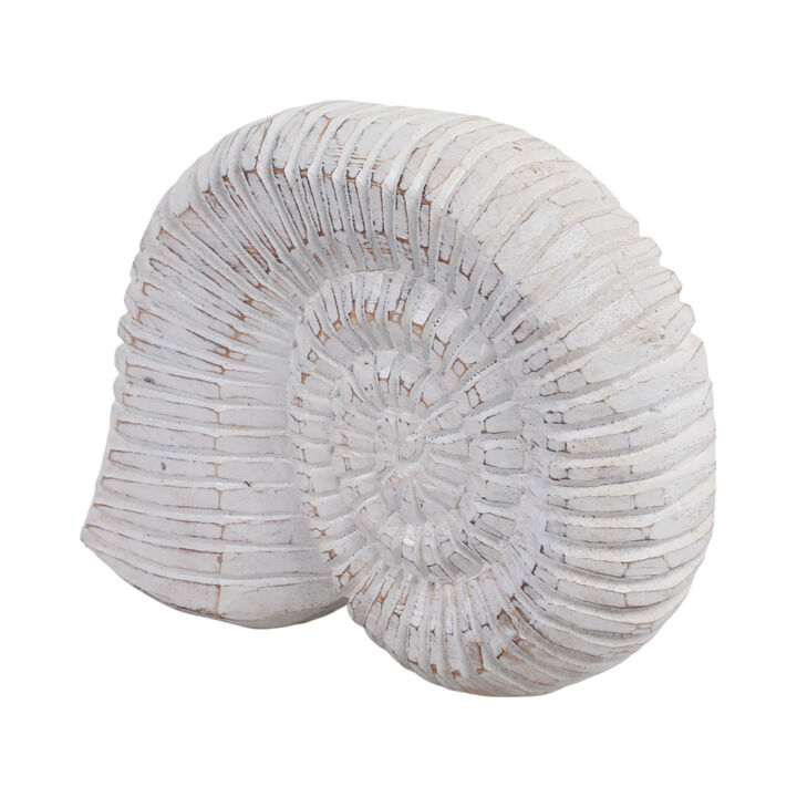 12" Wooden Snail Decor, Wht