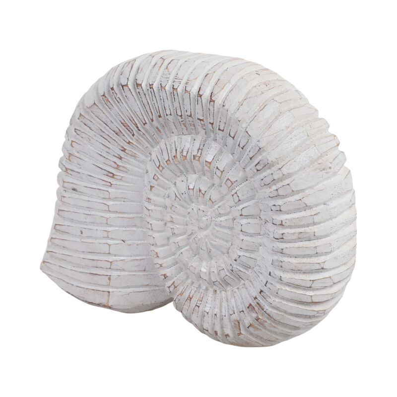 12" Wooden Snail Decor, Wht image number 1