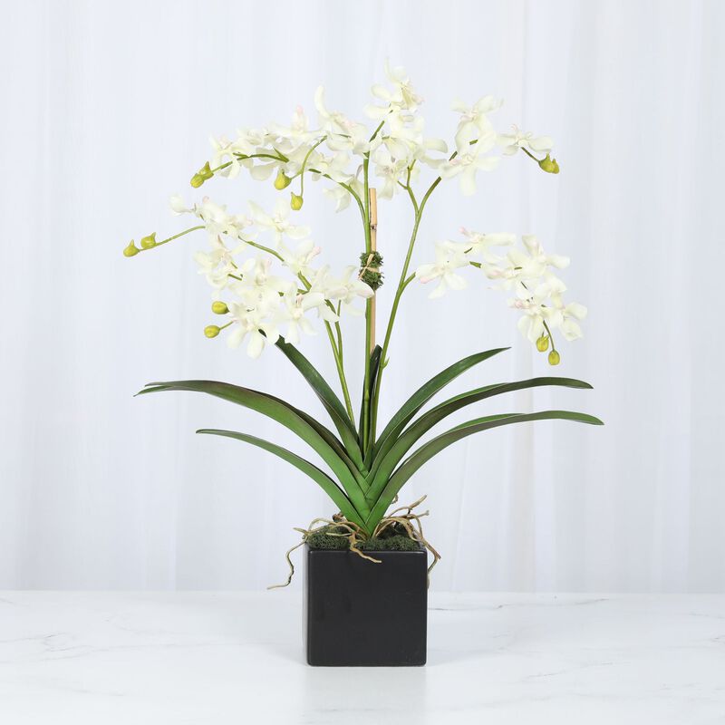 Orchid Arrangement in Vase - 24" image number 1