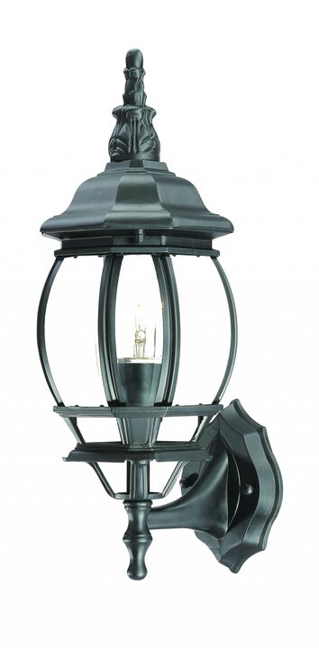 Homezia Matte Black Ornamental Glass Globe Wall Light