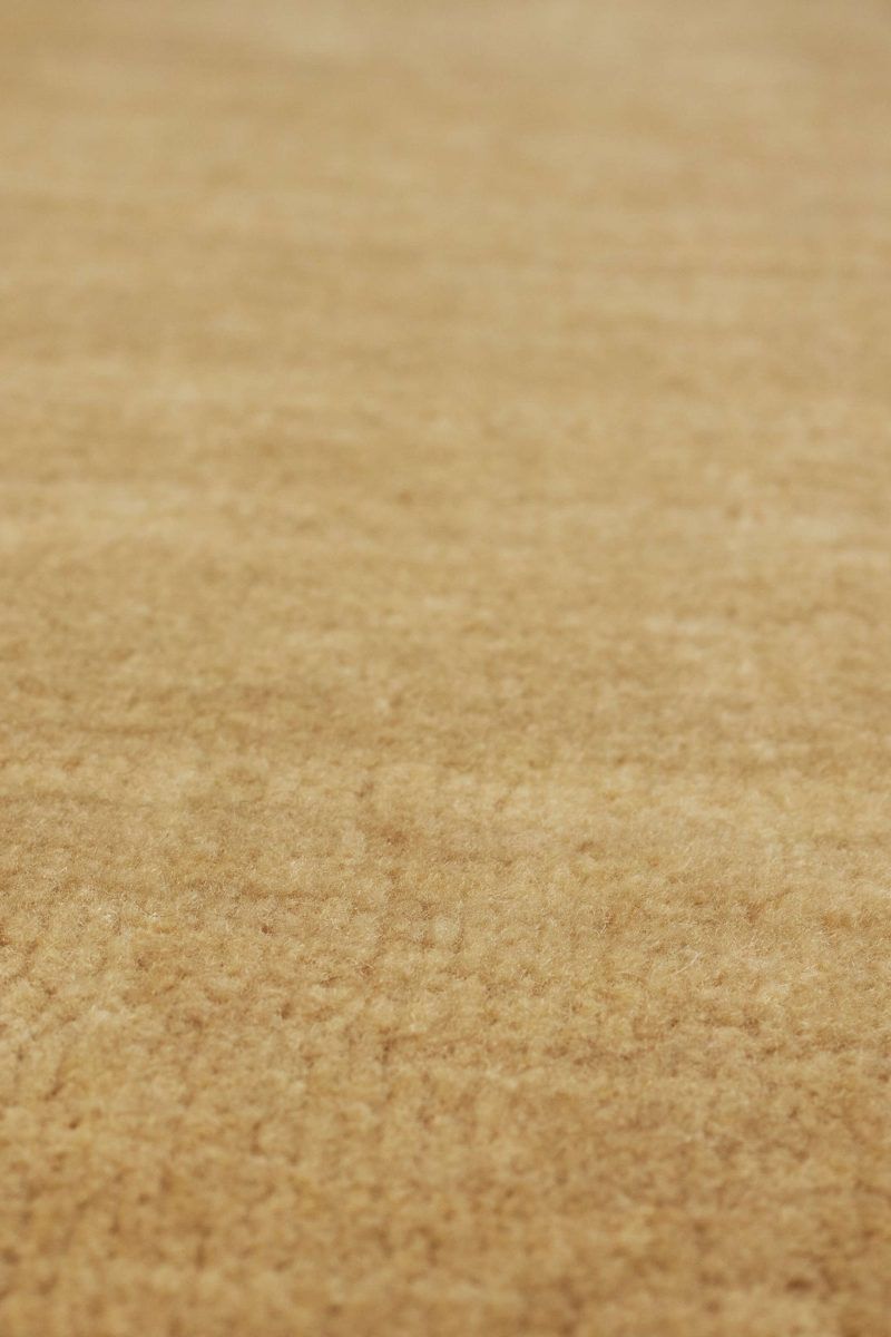 Hudson Camel 10' x 14' Rug image number 4