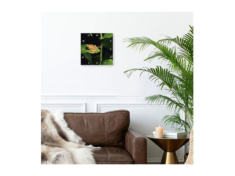 Puerto Rico El Yunque Coqui Frog Leaf Wall Clock 13 Inch Home Decor image number 2