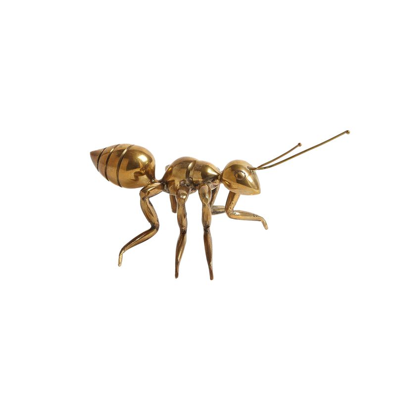 Pharaoh Ant