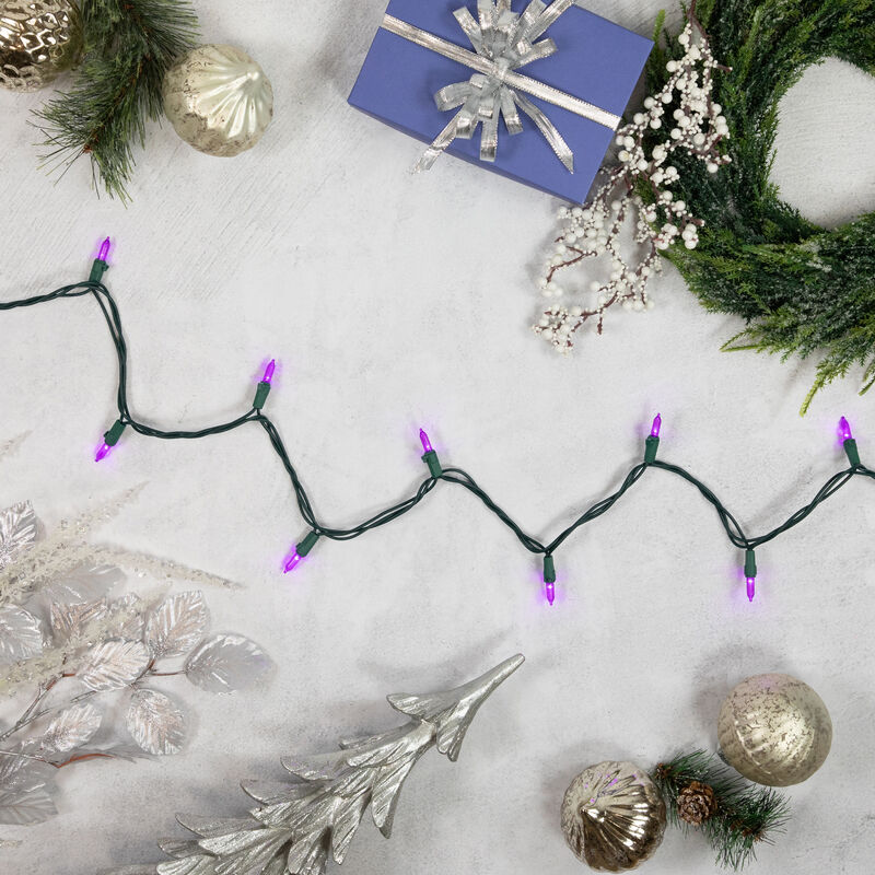 50ct Purple LED Mini Christmas Lights  16.25ft Green Wire image number 1