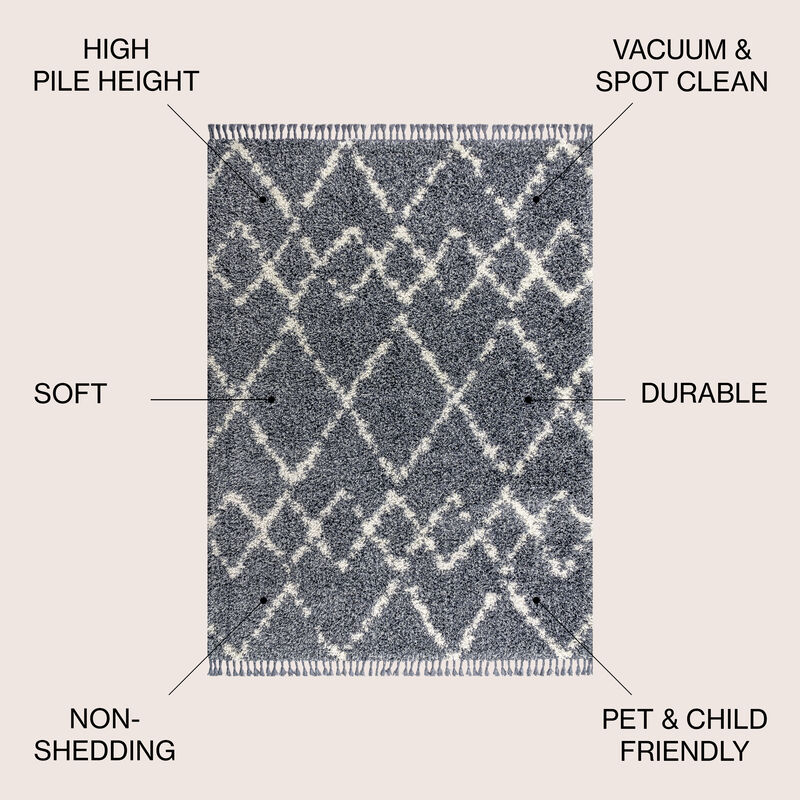 Mercer Shag Plush Tassel Moroccan Tribal Geometric Trellis Area Rug