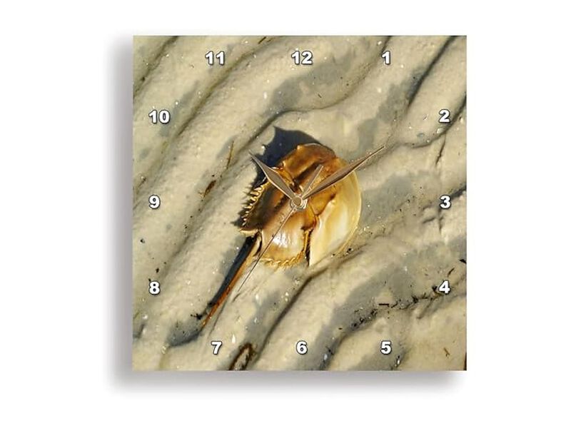 Close Horseshoe Crab Sand Wall Clock 13 Inch Home Decor image number 1