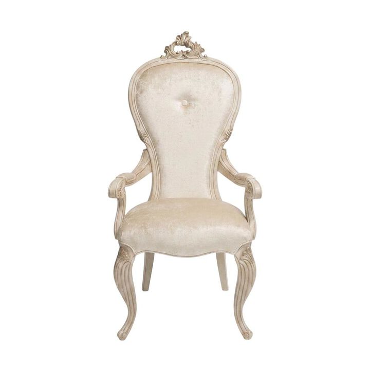 Starlight Canyon Home Champagne Velvet Dining Arm Chairs Set of 2 with Rubberwood Frame