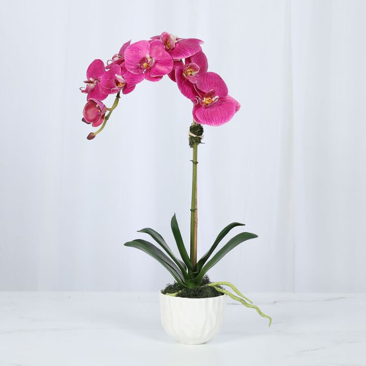 Faux Orchid Plant in White Vase - 18"