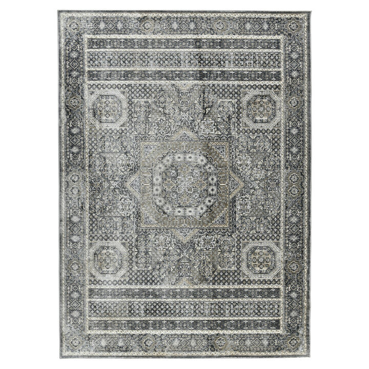 HomeRoots Medallion Area Rug