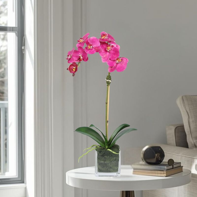 Faux Orchid Plant in Square Vase - 20" image number 1