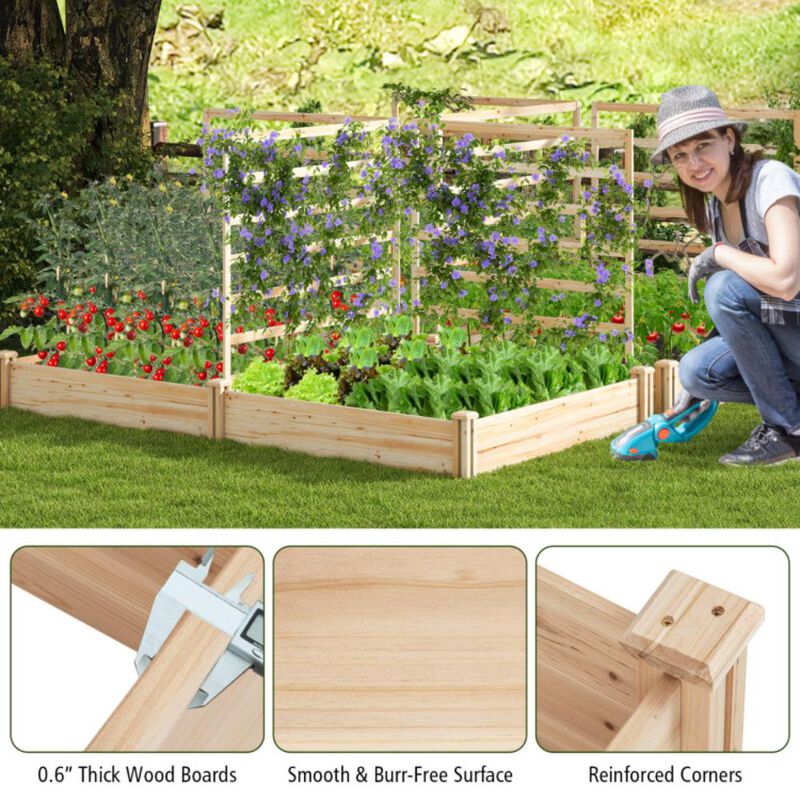 Hivvago Raised Garden Bed with 2 Planter Boxes and 3 Trellis