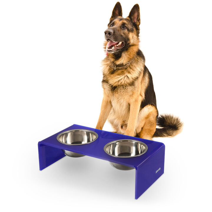 Keaton Modern Acrylic Rectangular Elevated Pet Feeder with Stainless Steel Bowls