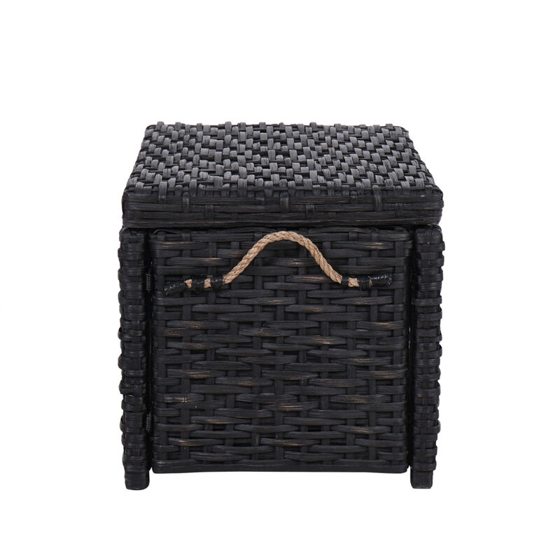 Jacob Wicker Storage Trunk