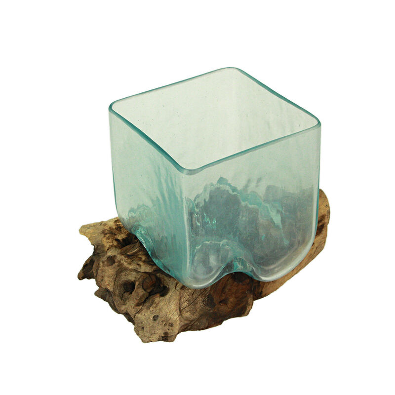 Teak Driftwood Glass Square Vase/Bowl - 8" High - Nature-Inspired Decor image number 4