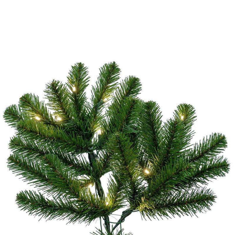 Deluxe Sequoia 5mmWA image number 4