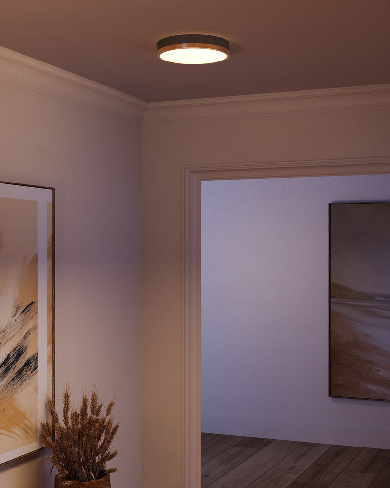 Adelaide 11 in LED Flush Mount image number 6