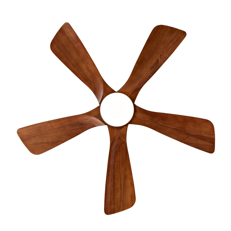 ELEMENT ACE Modern Outdoor Ceiling Fan with Integrated LED Lighting and Remote Control for Energy-Efficient Air Circulation image number 3