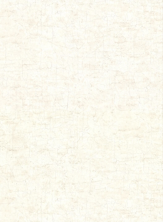 Pembroke Cream Faux Plaster Wallpaper