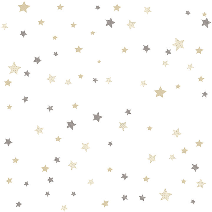 Little Explorers 2 Star Silver Grey Wallpaper 14826
